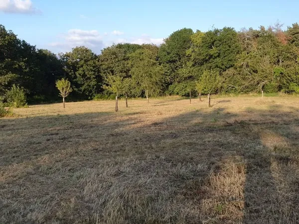 Terrain Constructible 1,23ha (12350 m2) 8,5 € m2 à Débattre