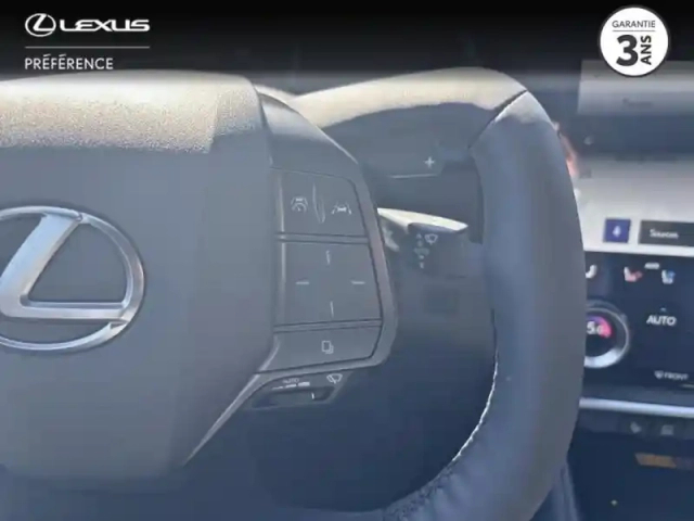 Lexus Rz 500e executive mc26 — photo 10