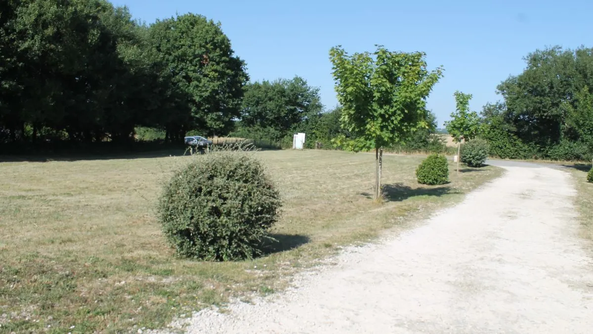 Photo 3
