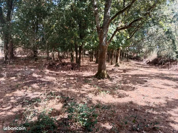 Vente terrain boise