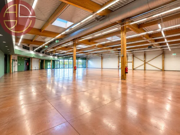 Local commercial 1230 m²