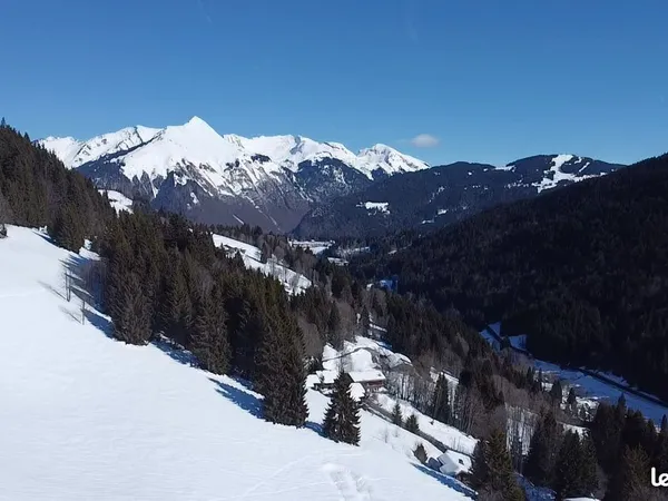 Terrain 1 733 m² Les Gets