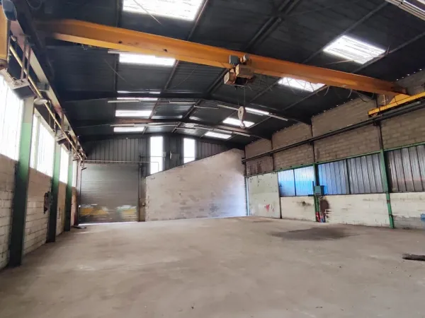 Local d'activité 1 pièce 370 m²