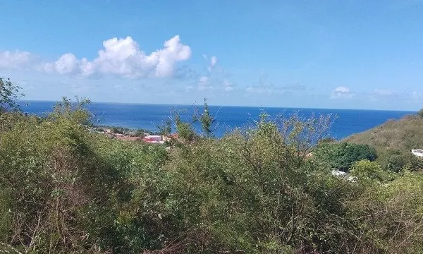 Baillif. Terrain 1095 m2 avec vue mer exceptionnelle