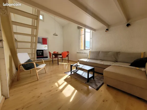 Appartement T2 duplex - centre ville - dernier étage - lumineux et calme