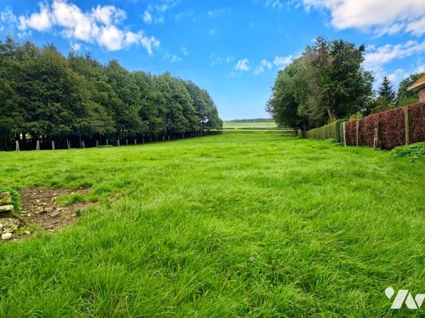 Terrain 3181 m²