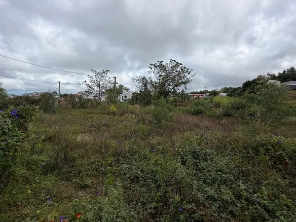 Terrain 552 m²