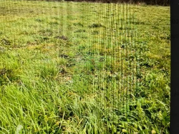 Terrain agricole A Blaye A vendre 2 Ha 21a33ca m2