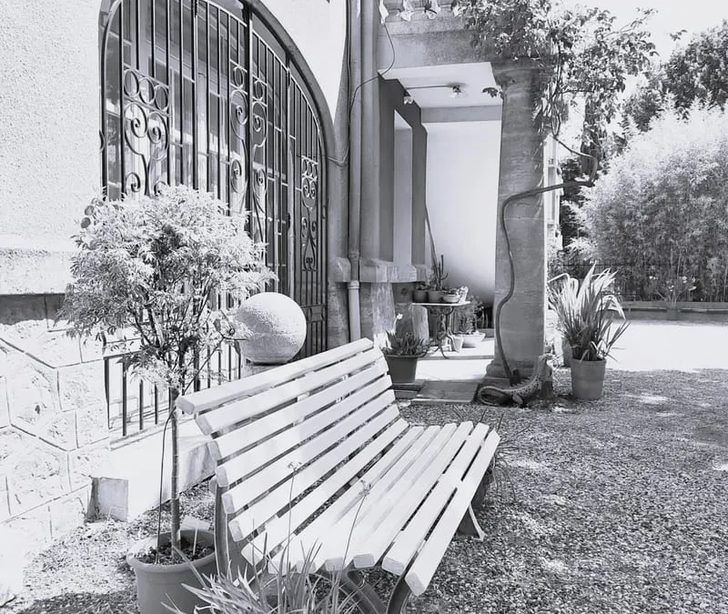 Photo 5