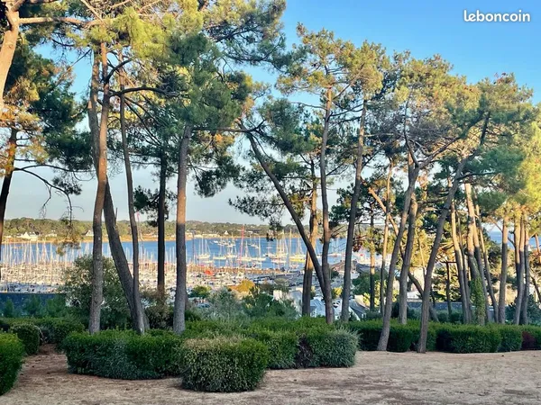 Vue rare sur la Trinité sur Mer
