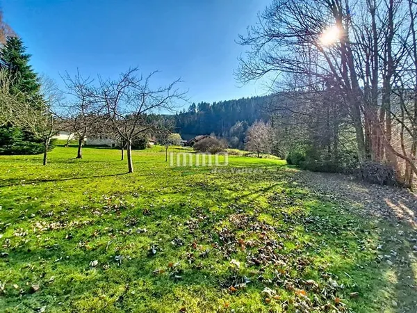 Terrain - 1000 m2