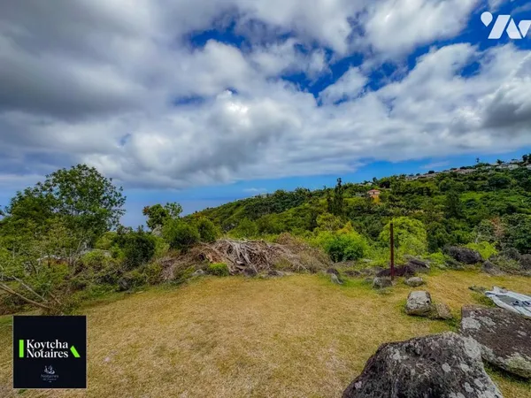 Terrain 2645 m²