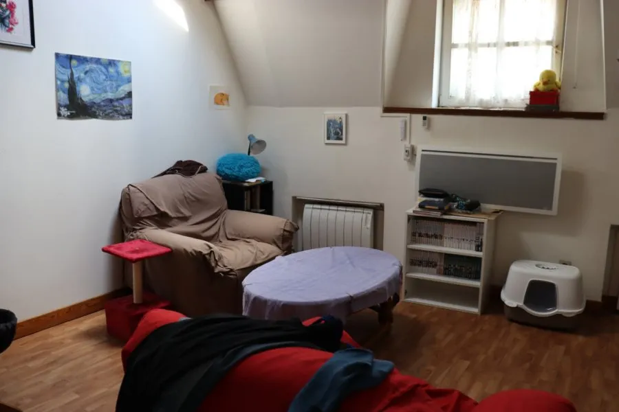 Photo 7