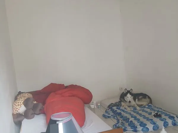 Recherche colocataire loyer 220 euros