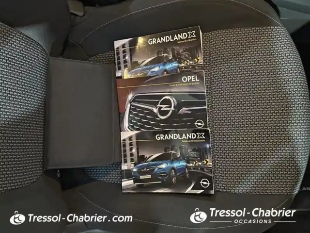 Opel Grandland X 1.2 turbo 130 ch bva8 edition business — photo 16