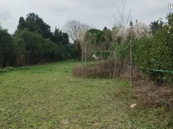 Terrain chevaux