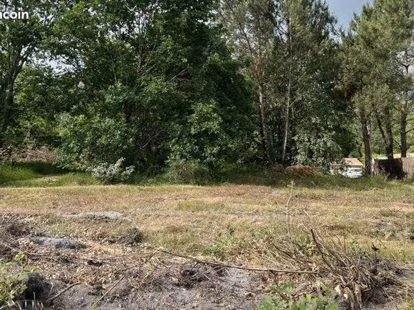 Terrain 1 246 m² Balizac