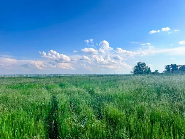 Terrain 840 m²