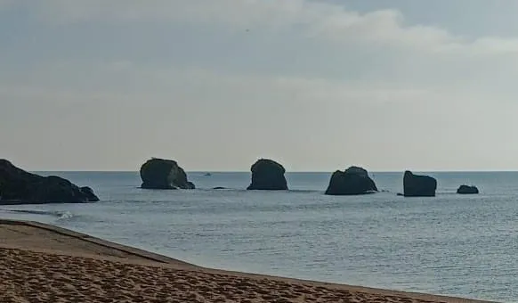 Terrain à bâtir à 4 minutes de la Corniche vendéenne