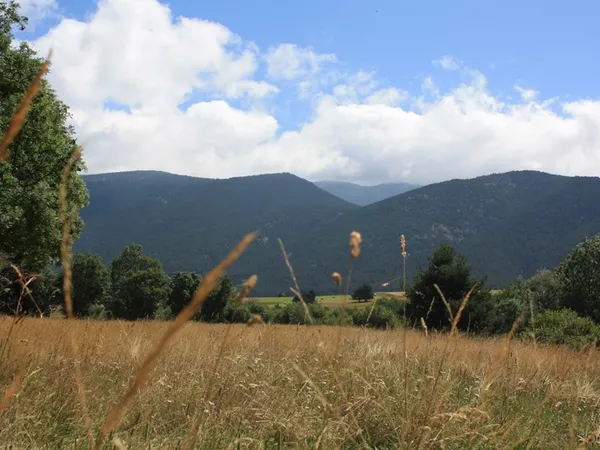 Terrain en individuel 1680 m²