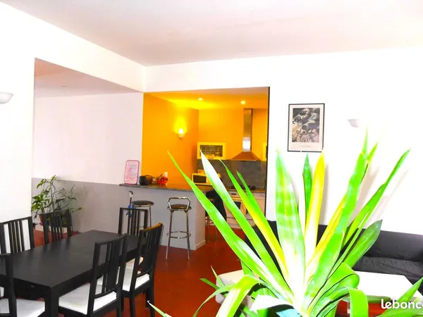 Colocation de 4 personnes Vieux LYON
