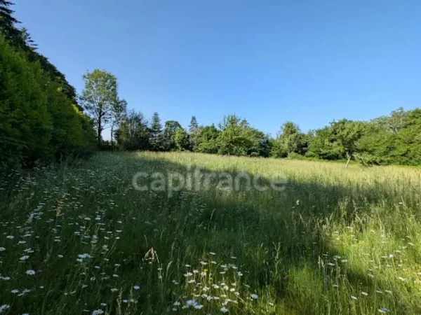 Maison 3 pièces 77 m²