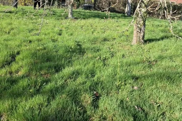Terrain 760 m²