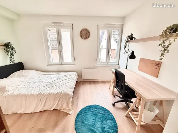 Studio entièrement rénové clés en main - 7200E/an - Schiltigheim