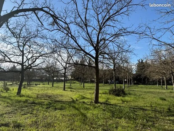 Sorgues au calme, terrains viabilisés