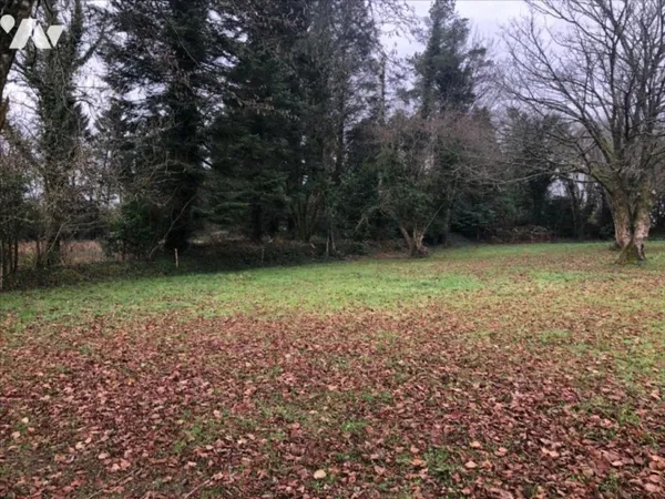 Terrain 1332 m²
