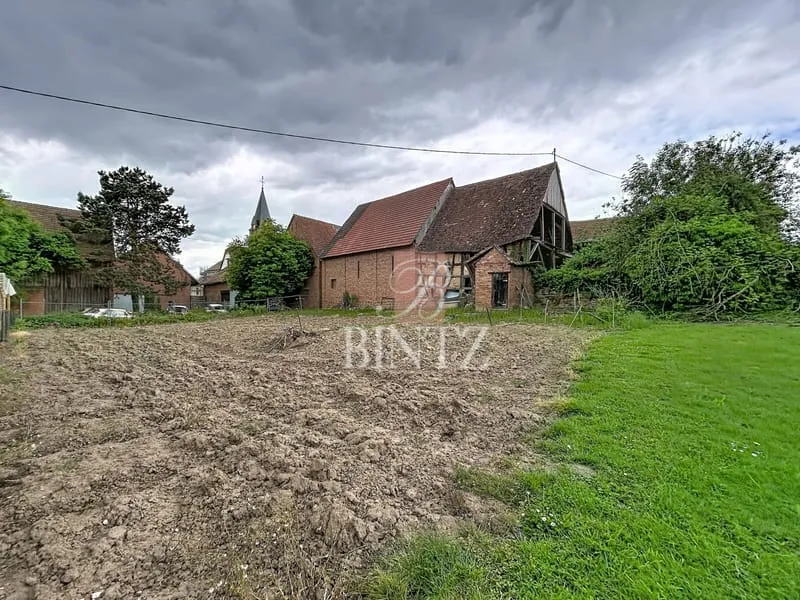 Photo 24