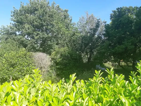 Maison neuve 4 pièces 89 m²