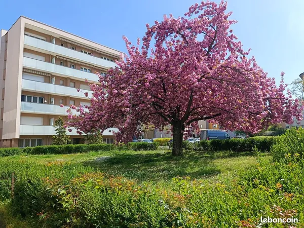 Place de Parking Metz Gare Muse Sablon