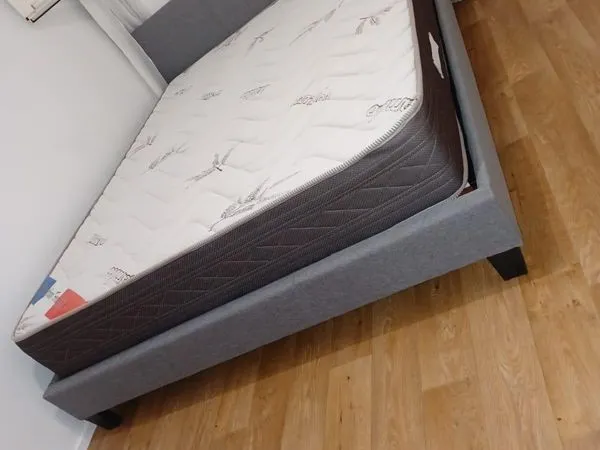 Collocation pour filles non éligibles aux apl avec un chat à la maison un mois de loyer et un mois d