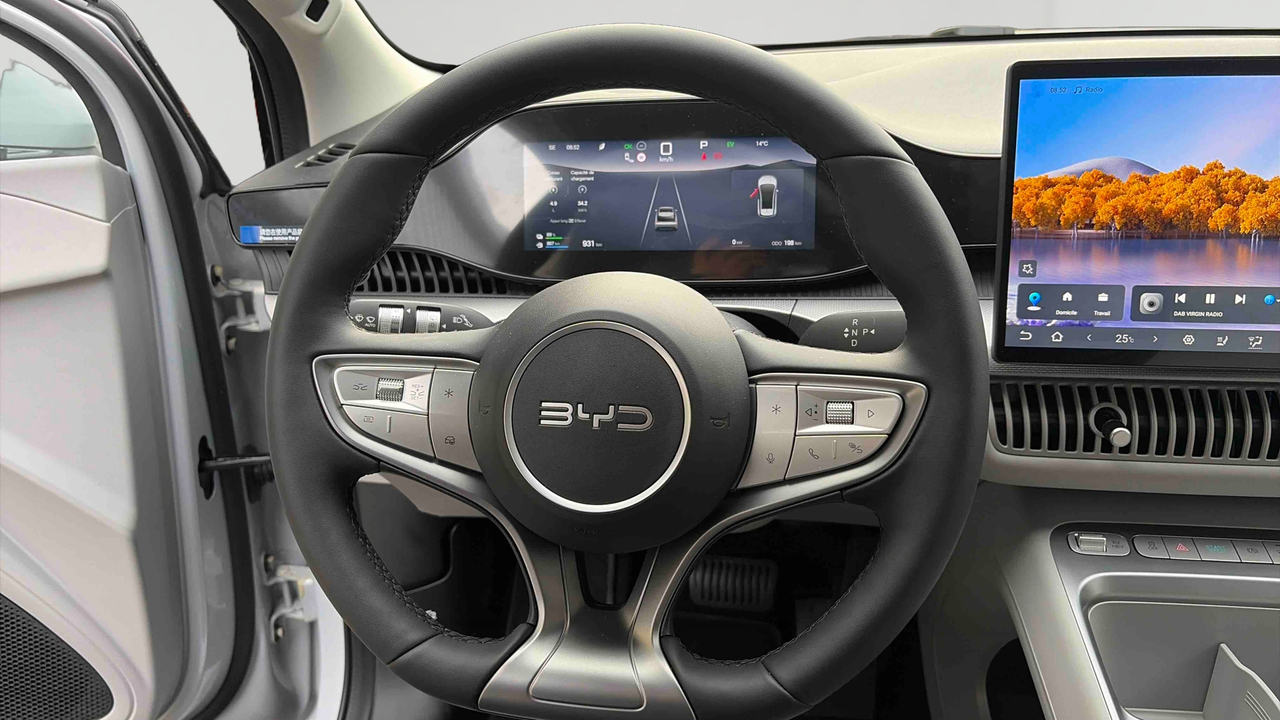 BYD Dolphin G 1.5 DM-i PHEV 212 ch — photo 10