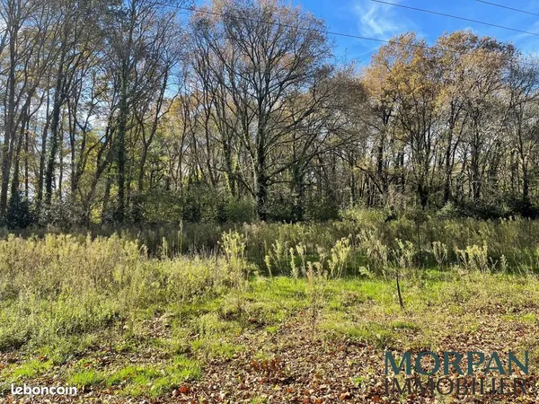Terrain 11085 m² Saint-Selve