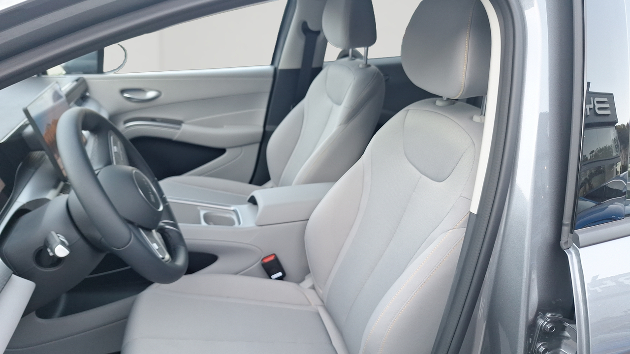 BYD Dolphin G 1.5 DM-i PHEV 212 ch — photo 11