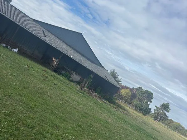 Pâture à louer