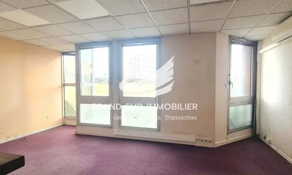 Locaux d'activité