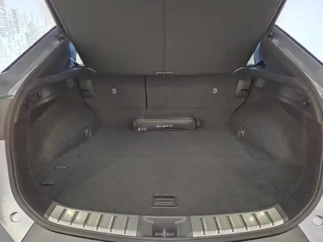 Lexus Rz 350e luxe mc26 — photo 15