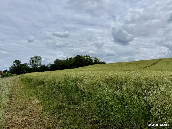 Terrain 1750 m² Lirey