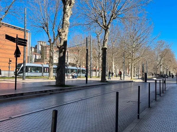 Toulouse centre étage entier comprenant deux appartements avec droit de surélévation comprenant deux