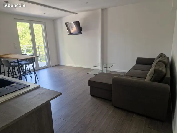 Location appartement 47 m2 électricité eau internet compris 550 euros