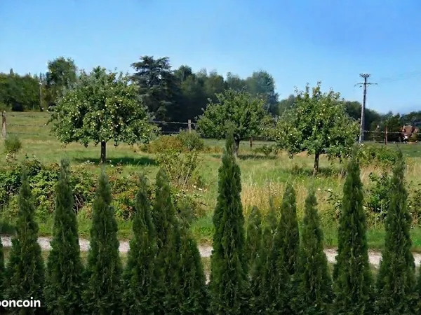Bien agricole et foncier Vente Les Sables-d'Olonne  6500m² 600€