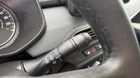Dacia Sandero 1.0 ECO-G 100ch Stepway Extreme -24 — photo 20