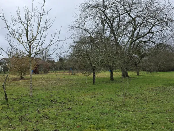 Terrain 3100 m²