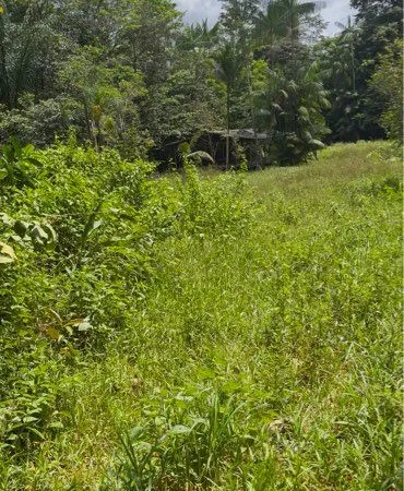 Terrain agricole