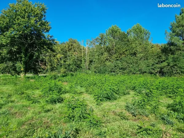 Terrain 1 050 m² Saint Aubin De Medoc