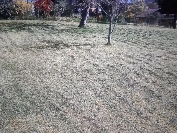 Vente de terrain jujurieux