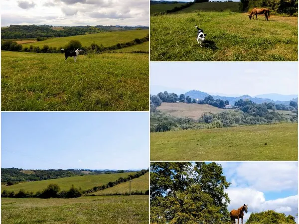 A vendre à Angous : terrain à bâtir de 1500m² avec CU , 20 le m²